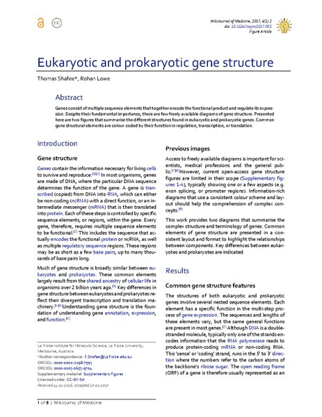 File:Eukaryotic and prokaryotic gene structure.pdf