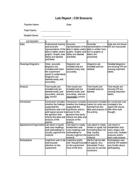 File:CSI Scenario Rubric.pdf