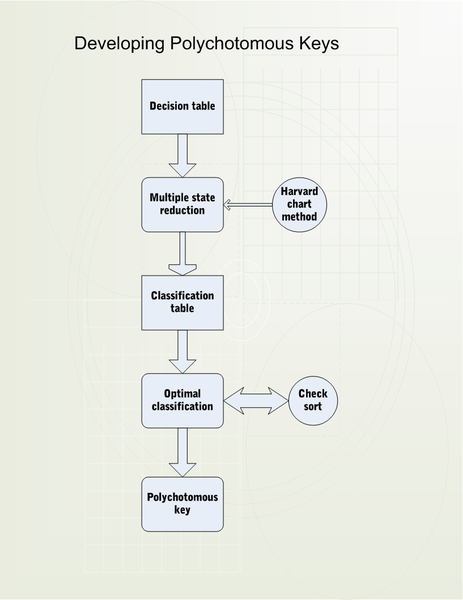 File:Polychotomous key - basic block.png