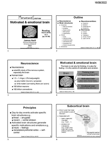 File:Brain and physiological needs 6 slides per page.pdf
