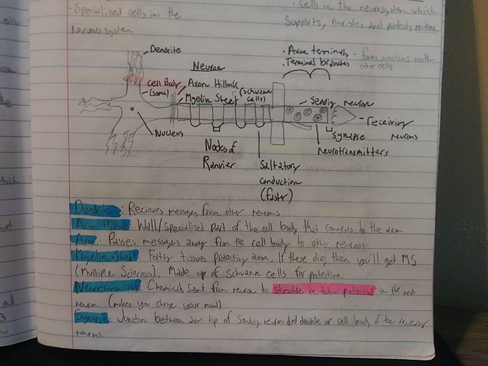 case study ap psychology definition