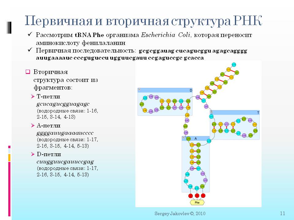 Малые рнк