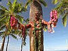 Duke Kahanamoku Statue, Kuhio Beach