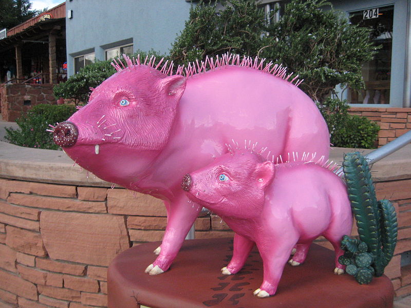 File:Pink Javelinas.JPG