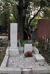 Могила, в которой похоронен Цветаев Вячеслав Дмитриевич (1893-1950), Герой Советского Союза