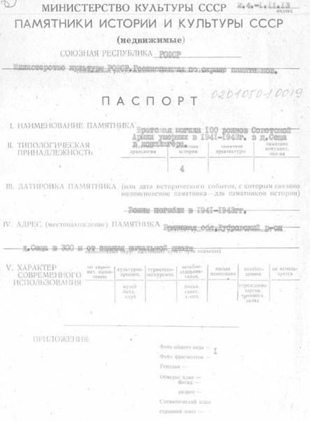 Файл:Passport 3200271000.pdf