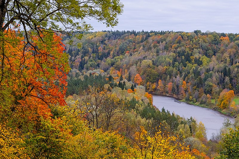 Файл:Gauja Sigulda.jpg