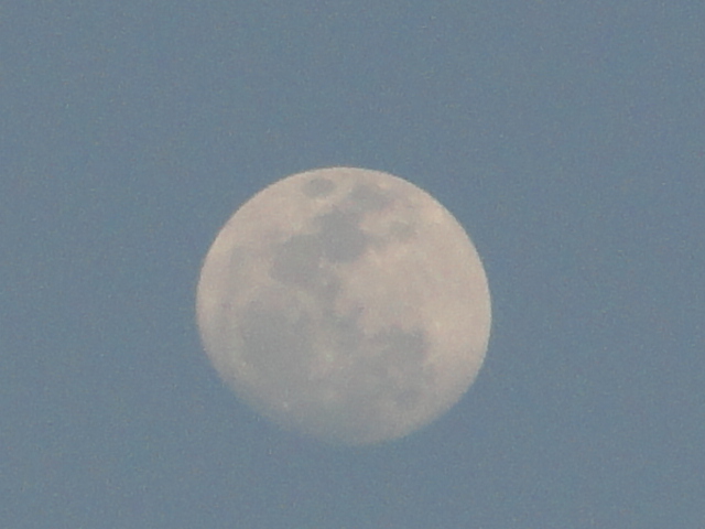 దస్త్రం:moon at day 0.JPG