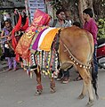 17:33, 25 అక్టోబరు 2013 నాటి కూర్పు నఖచిత్రం